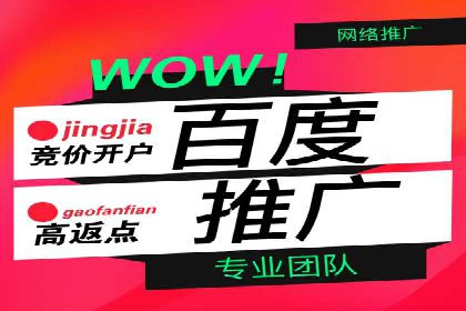 成功案例揭秘：如何通过百度推广开户提升业务效果
